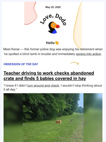 No Thumbnail Set
