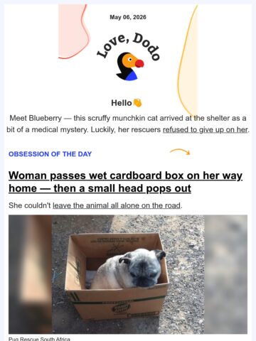 No Thumbnail Set
