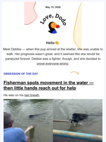 No Thumbnail Set