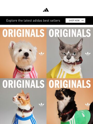 No Thumbnail Set