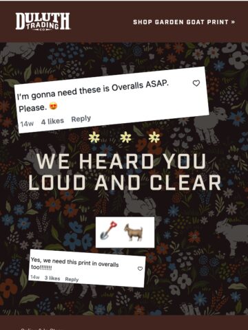 No Thumbnail Set