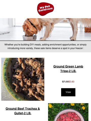 No Thumbnail Set