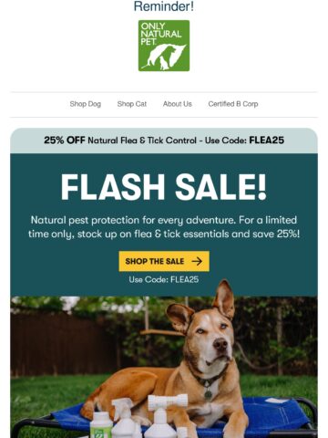 No Thumbnail Set