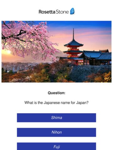 No Thumbnail Set