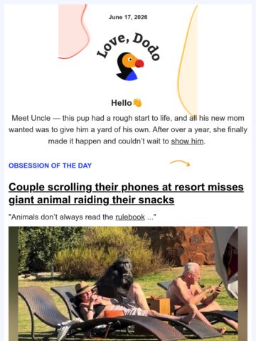 No Thumbnail Set