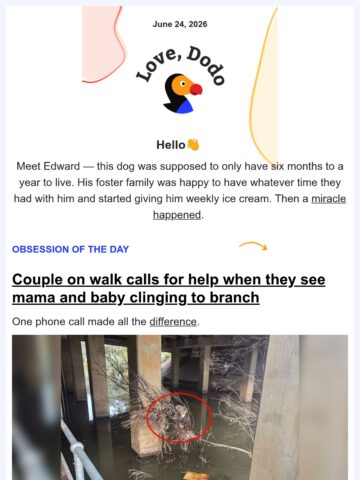 No Thumbnail Set