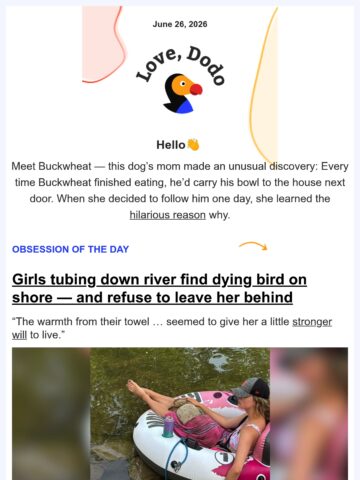 No Thumbnail Set