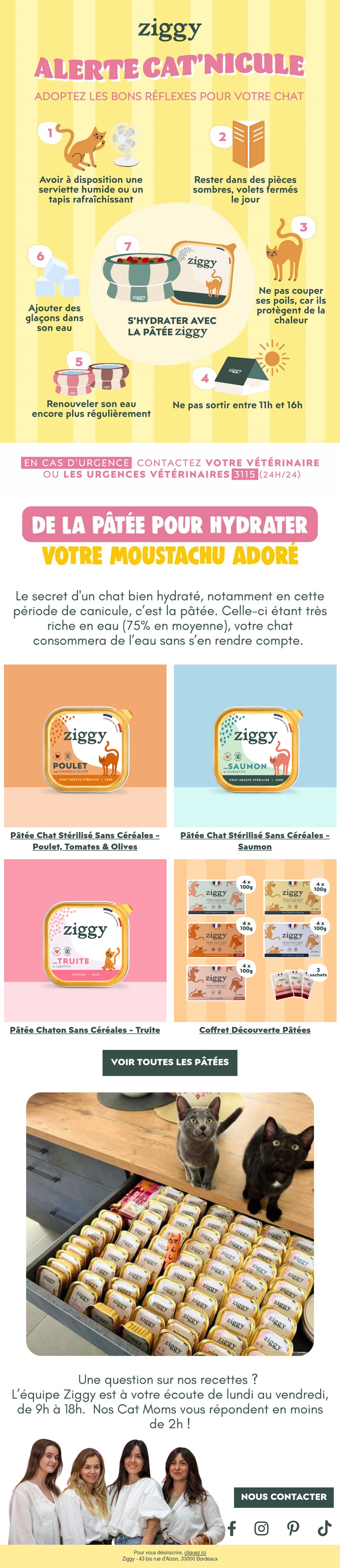 Ziggy summer email