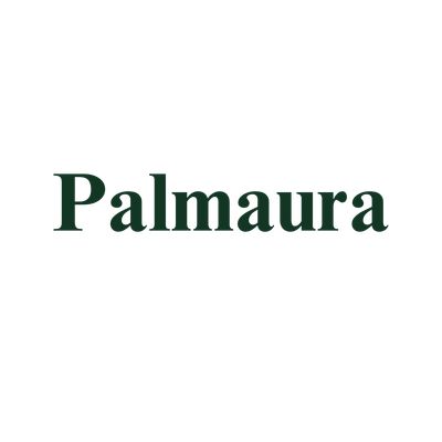 Palmaura logo