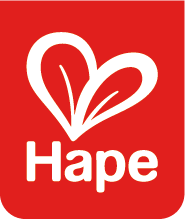Hape Toys logo