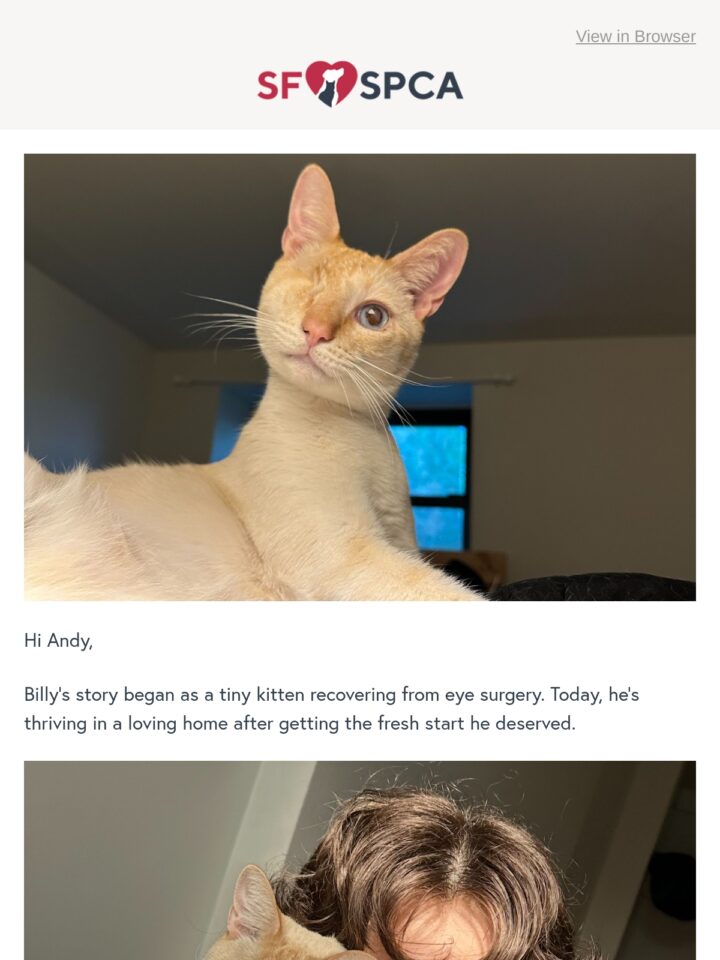 No Thumbnail Set
