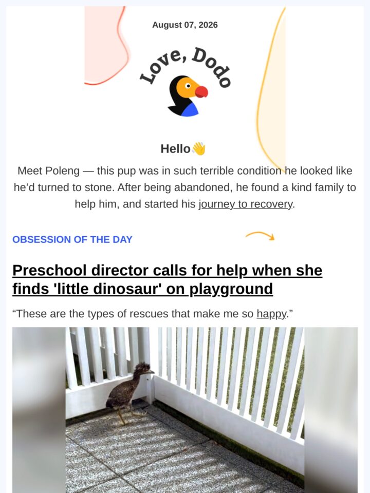 No Thumbnail Set