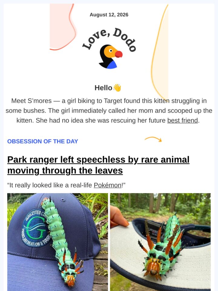 No Thumbnail Set