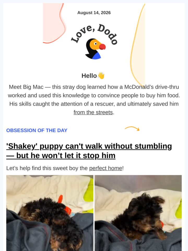No Thumbnail Set