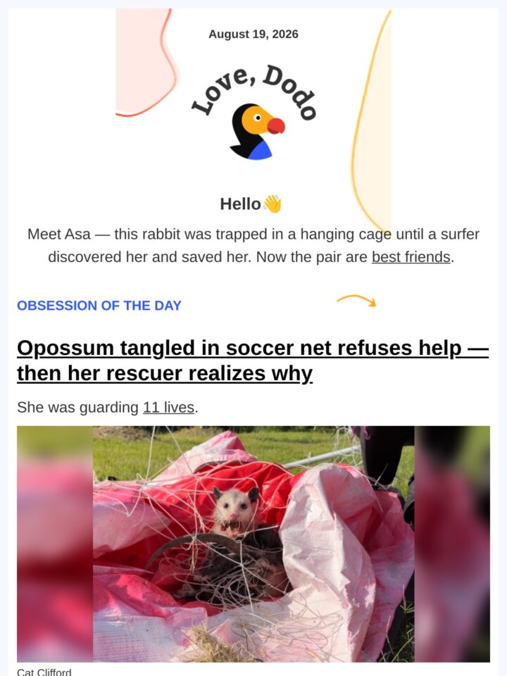 No Thumbnail Set