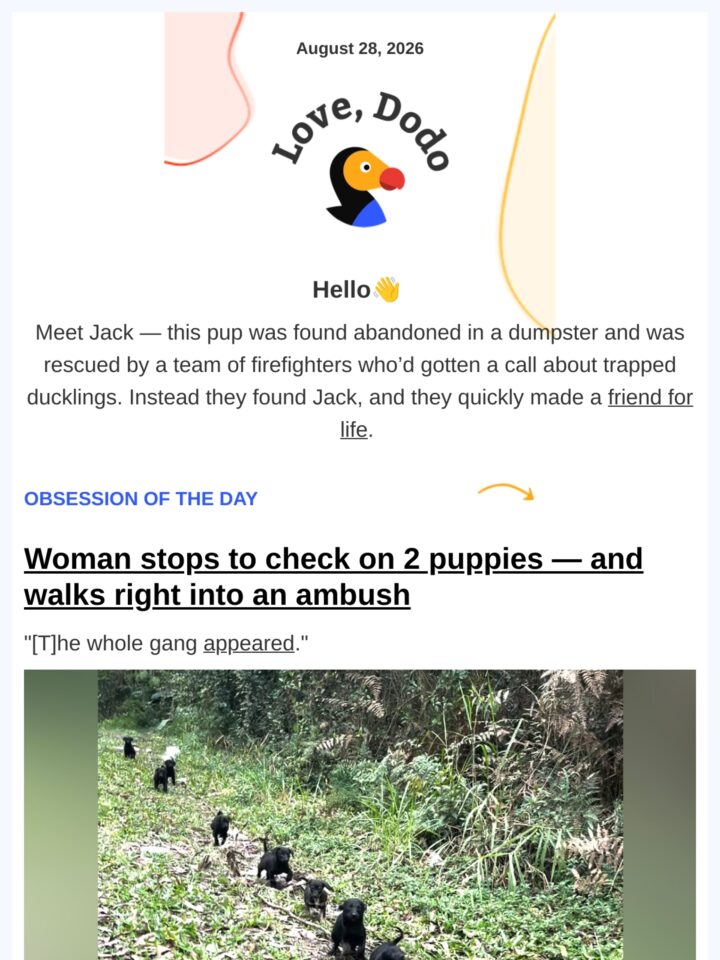 No Thumbnail Set